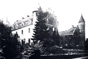 zamek w Tucznie